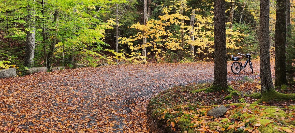Cropped fall amphitheater